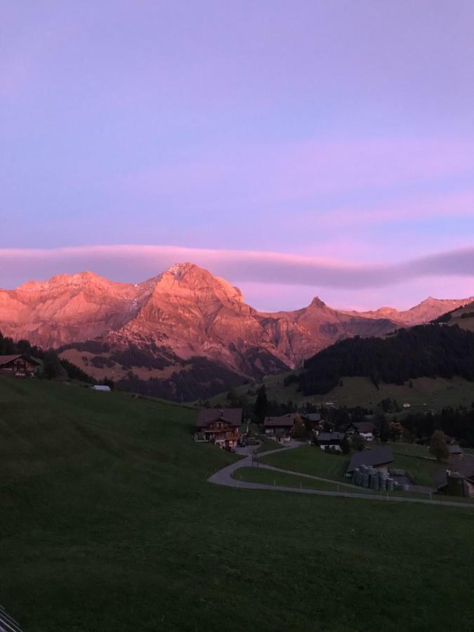 Abelied Hotel Adelboden Buitenkant foto