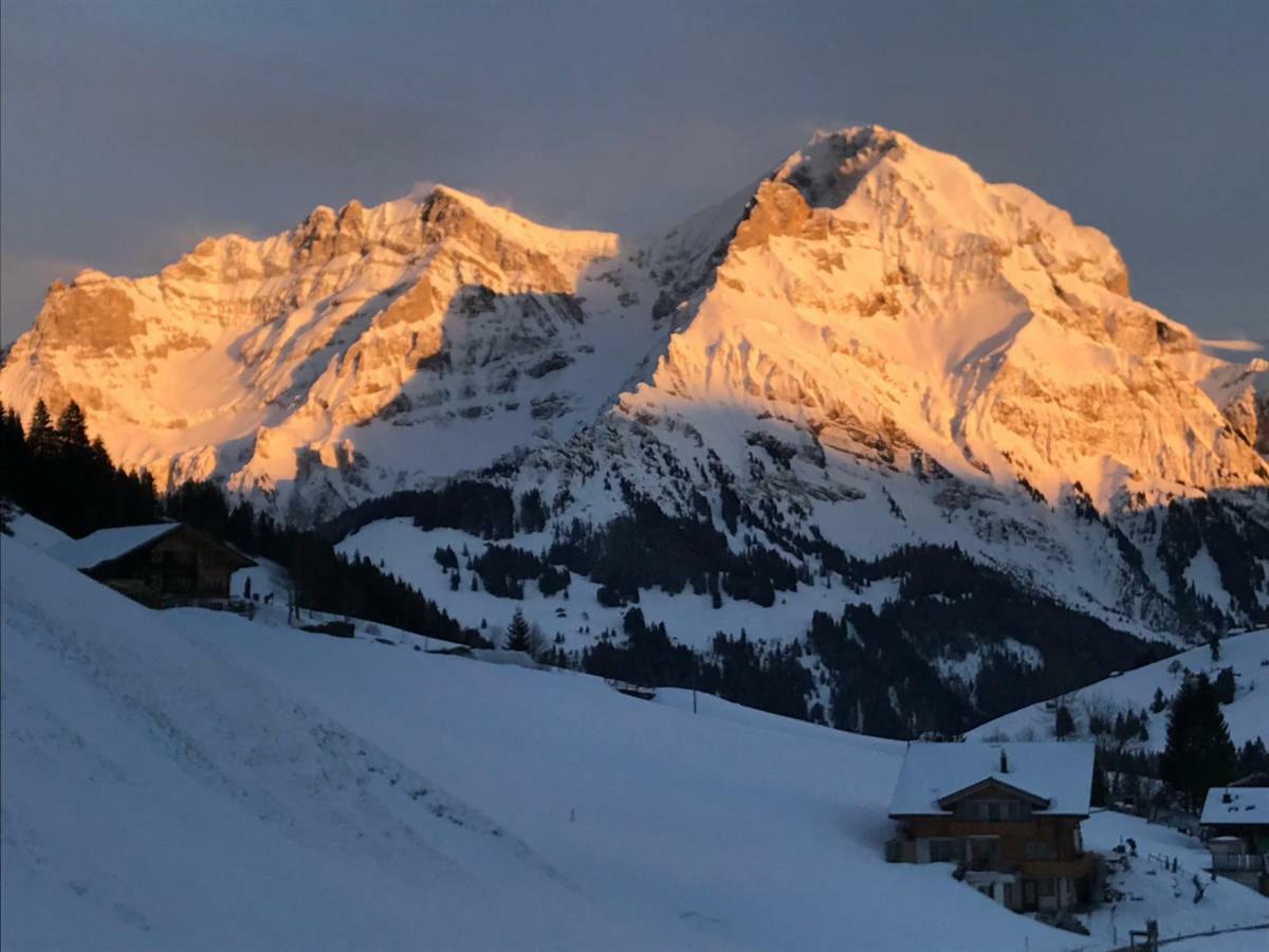 Abelied Hotel Adelboden Buitenkant foto