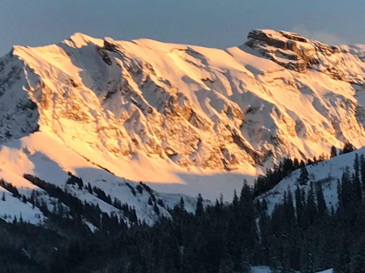 Abelied Hotel Adelboden Buitenkant foto